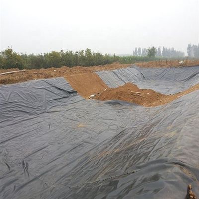 0.5mm 1mm 1.5mm 2mm HDPE 지오 멘브라인 산업 디자인 스타일의 물고기 연못 라인러