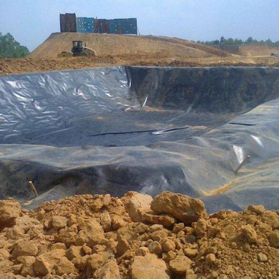 0.75mm HDPE 지질막 새우 연못 라이너 산업용 디자인 스타일