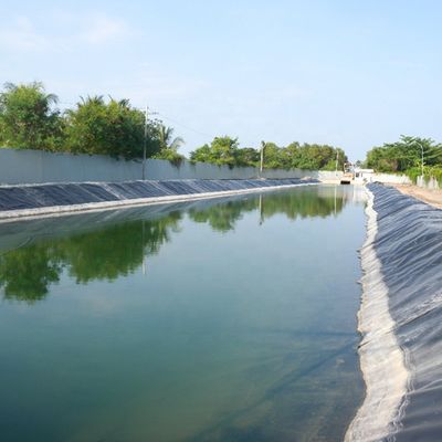 LDPE HDPE Geomembranes Lining Company for Pond Liner Connection Machinery in Fish Farm (어림 농장의 호수 라인 연결 기계에 대한 LDPE HDPE 지오 엠브라네스 인라인 회사)