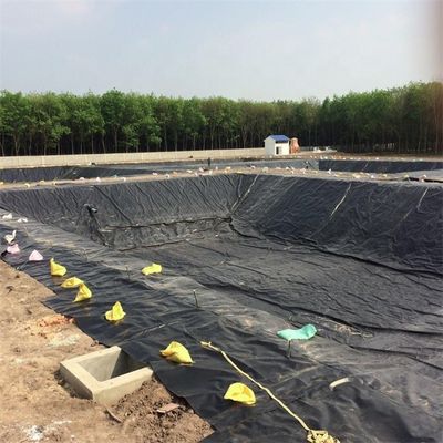 생선 농장 연못 덤비 쓰레기 매립 라인 HDPE 지오 엠브레인 0.5mm 0.75mm 1.0mm 1.5mm 2.0mm 3.0mm