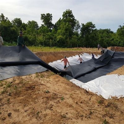 생선 농장 연못 덤비 쓰레기 매립 라인 HDPE 지오 엠브레인 0.5mm 0.75mm 1.0mm 1.5mm 2.0mm 3.0mm