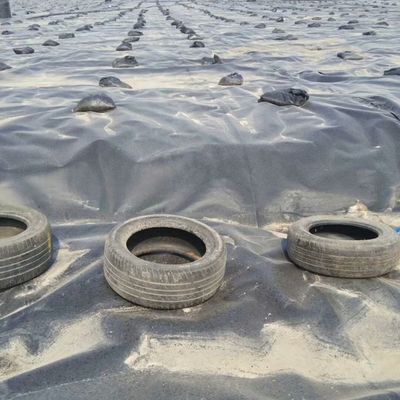 두 번 매끄러운 표면 0.5mm LDPE LLDPE HDPE 지오 림프물 수산업 덤 라인
