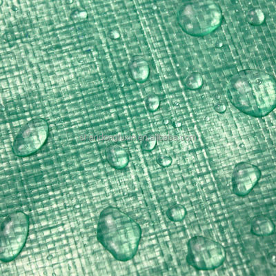 야외 농업 LDPE 가루 된 PE 천장 코팅 녹색 HDPE 직물