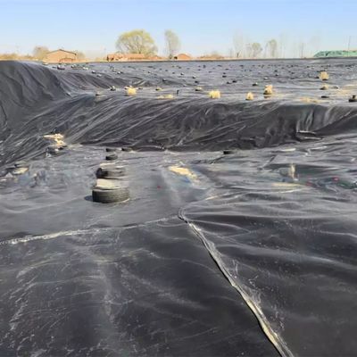 직판 판매 HDPE 직선 지오 엠브라인 현장 훈련과 0.1mm-2.5mm 두께