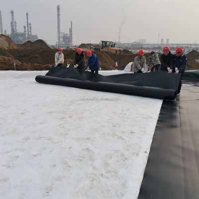 직판 판매 HDPE 직선 지오 엠브라인 현장 훈련과 0.1mm-2.5mm 두께