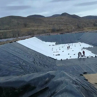 자외선 저항성 0.75mm HDPE 배열 탱크 지오 엠브라인 검은색 또는 사용자 지정 색상 물고기 연못