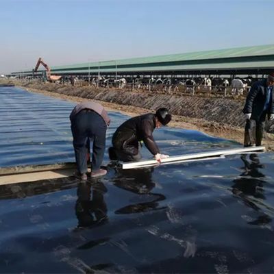 1mm 2mm 두께 HDPE 지질막 인위 호수 방수용 생선 연못 라이너