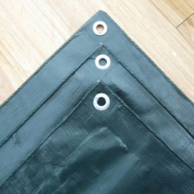 트럭 자동차 커버 HDPE 코팅 120GSM 텐플린으로 사용자 정의 색상의 플라스틱 시트
