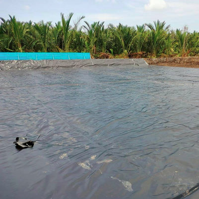두 배 매끄러운 표면에서 남아프리카의 저수지 프로젝트에 대한 Udg Layfield Geomembrane