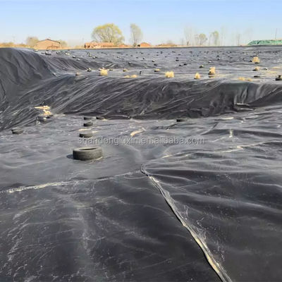 HDPE 지오임브란 코이 연못 라인어 플라스틱 연못 물고기 50m-100m 길이와 사용자 정의