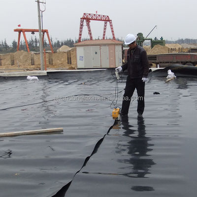 Hdpe 블랙 플라스틱 라인어 생선 농장 연못 라인어 수영장 고밀도 Hdpe 지오 엠브레인