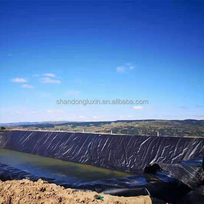Hdpe 블랙 플라스틱 라인어 생선 농장 연못 라인어 수영장 고밀도 Hdpe 지오 엠브레인