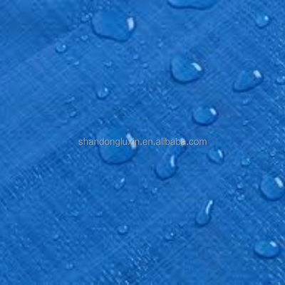 방수성 블루 타르프 플라스틱 타르핀