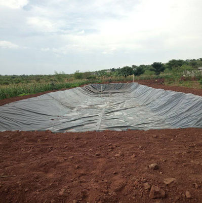 500 미크론 HDPE 지질막 생선 연못 라인어