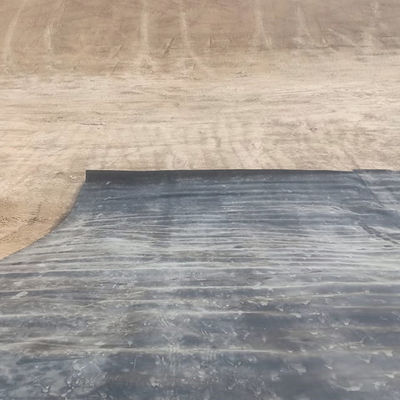 1220 x 2440 mm 항UV 웅덩이 라이너를 위한 HDPE 시트 재활용 HDPE 500 플라스틱 시트