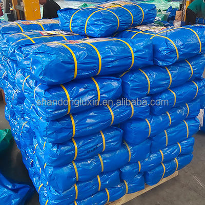HDPE 코팅 된 PE 천장 트럭 / 자동차 / 보트 커버에 대한 완벽한 방수 천