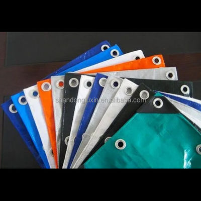 LDPE 코팅 플라스틱 캔버스 텐포 튼튼한 방수 및 로고 인쇄