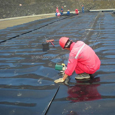 지질막 HDPE 덤비 및 호수 라인러 산업 디자인 스타일 두께 0.1mm-2.5mm