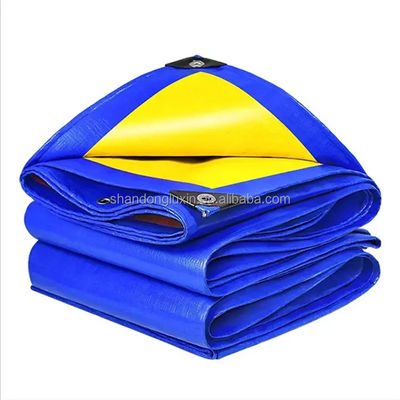 50-300gm Pe Tarpaulin 미국 텐프 워터 پروف 정원 덮개 맞춤 색상