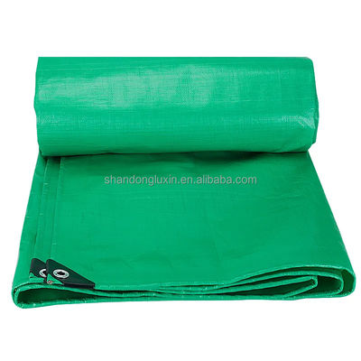 50-300gm Pe Tarpaulin 미국 텐프 워터 پروف 정원 덮개 맞춤 색상