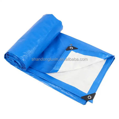 50-300gm Pe Tarpaulin 미국 텐프 워터 پروف 정원 덮개 맞춤 색상