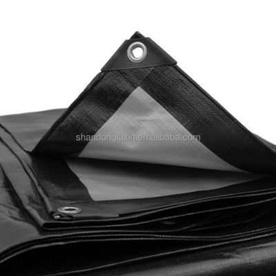 물 막연한 코팅 폴리에틸렌 직물 HDPE 텐폴린 천판 트럭 롤 텐폴린