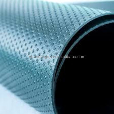 야외 HDPE 지오막 지오 합성 재료 LDPE EVA를 위한 방수막