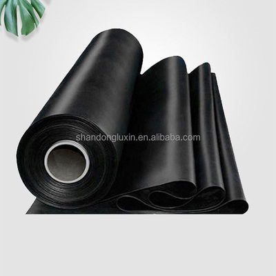 현대 디자인 반짝이는 지오 엠브레인 0.3mm 1.5mm 2.00mm 수질 탱크 덤 라이너