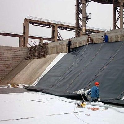 대형 플라스틱 생선 연못 라인 HDPE 지오 엠브라인 쓰레기 매립지 검은색 또는 요청