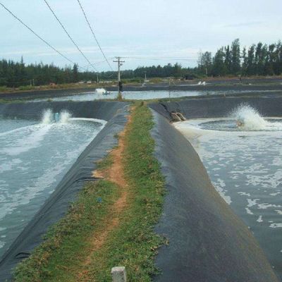 1-6m 너비 검은색 지오 엠브랜 (Geomembrane) 은 경쟁력 있는 가격으로 물고기 연못과 쓰레기 매립지를 위해