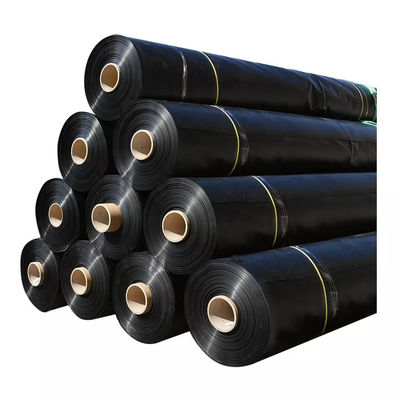 수질 HDPE 지오 엠브라인