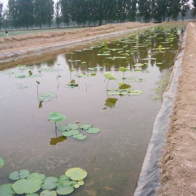 두 배 매끄러운 HDPE 지오 엠브라인 매끄러운 물고기 연못 및 쓰레기 매립지
