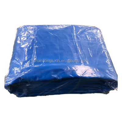 방수 은 파란색 PE 천막 대피 텐트 보트 또는 수영장 커버 50gsm-280gsm