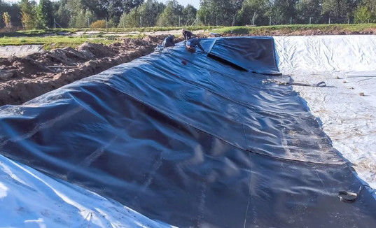 현대 디자인 검은 HDPE 매끄러운 지오 엠브라인 0.5mm 1mm 쓰레기 매립장 및 물고기 연못