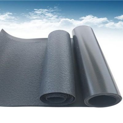 HDPE 지오 멘브란에서 직접 생선 연못을위한 환경 친화적이고 내구성