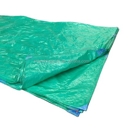 방수 HDPE 직물 PE 텐포 튼튼한 파란색 폴리텐포