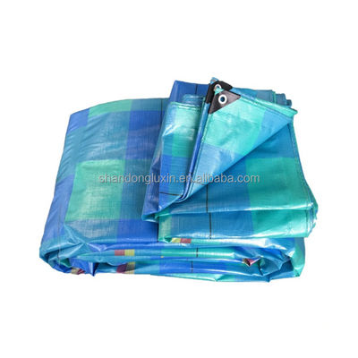 HDPE 120gsm 파란색 PE 캔버스 텐프 폴리 텐프 옥외 정원에용 방수