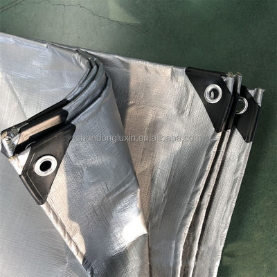 HDPE 120gsm 파란색 PE 캔버스 텐프 폴리 텐프 옥외 정원에용 방수