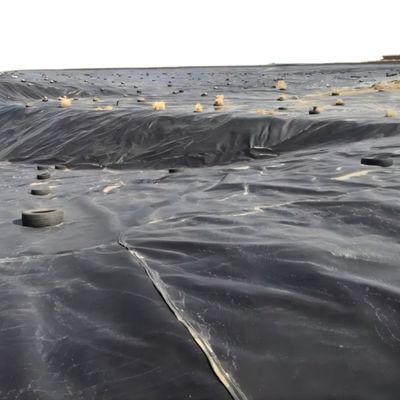 1mm HDPE 지오 엠브란 롤 어업 1m-8m 너비 크로스 카테고리 통합