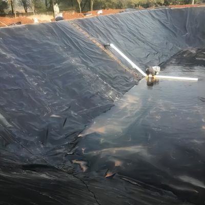 고밀도 생선 및 새우 연못 라이너 HDPE 지질막