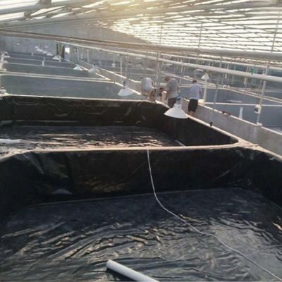 0.5mm 1mm 2mm HDPE LDPE EVA 물 저장 탱크를 위한 부드러운 지질막 물고기 연못 라인