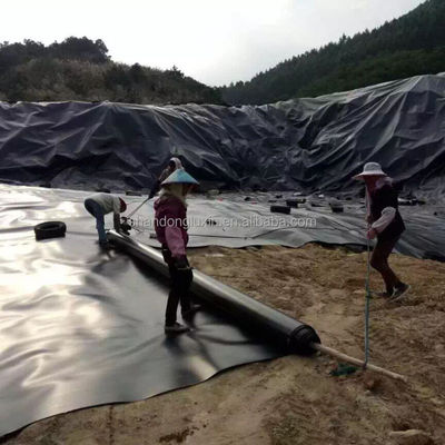 2mm 블랙 HDPE 지오 엠브란 수질 방지 새우 생선 호수 라인어
