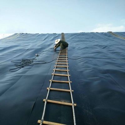 LLDPE 저수지 라인 1.5mm 플라스틱 덤 HDPE 지오 엠브라인 시트 50-200m 길이