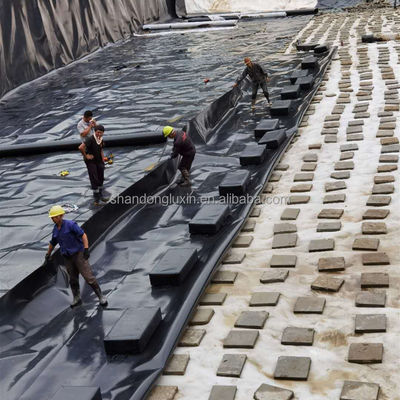 검은 HDPE 지오 멘브란 수산물 농산물의 궁극적 인 보호
