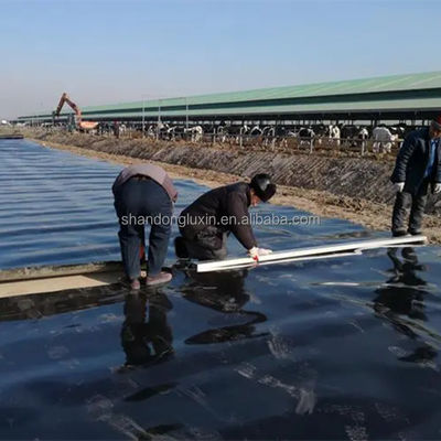 3D 모델 디자인 산업 저수지 광산 새우 농장 연못 라인러를위한 HDPE 지오 엠브라인