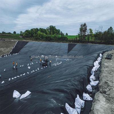 1.5mm 블랙 HDPE 지오 멘브라인 레이크 덤 라인어 농장 라인어 산업 디자인 스타일