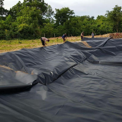 1.5mm 블랙 HDPE 지오 멘브라인 레이크 덤 라인어 농장 라인어 산업 디자인 스타일