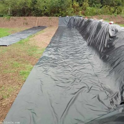 1.5mm 블랙 HDPE 지오 멘브라인 레이크 덤 라인어 농장 라인어 산업 디자인 스타일