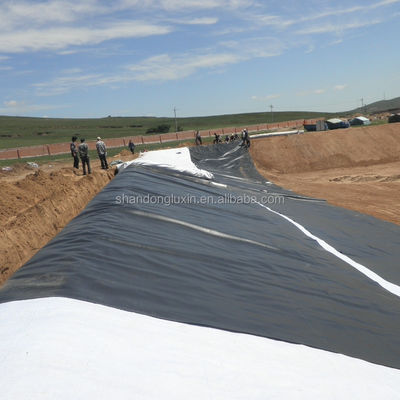 검은 HDPE 연못 라인어 플라스틱 시트 생선 새우 수영장 덤비 상담