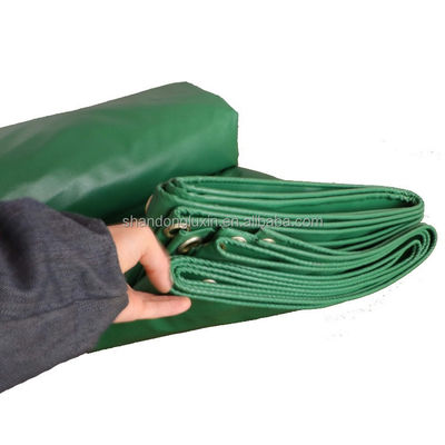 튼튼 한 녹색 PVC 천장
